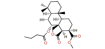 Aplyroseol 8